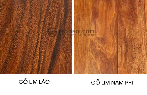 Cách phân biệt sàn gỗ lim lào và nam phi
