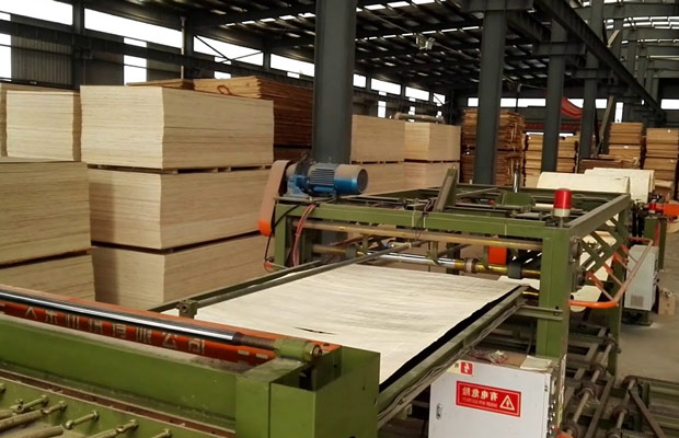 quy trình sản xuất gỗ dán plywood