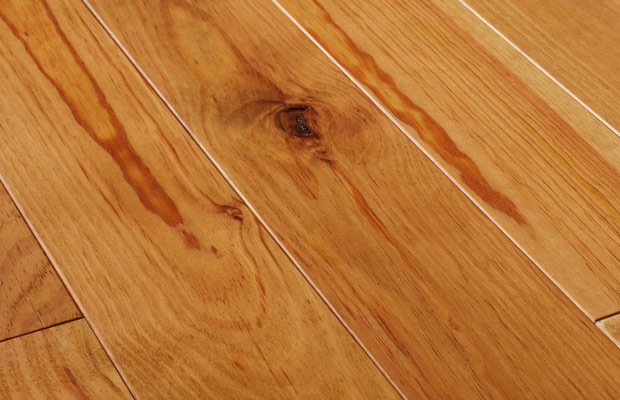 Sàn gỗ thông là gì