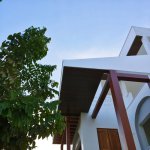 PVC Celling Panel (Indoor) - CI1218N - Nutmeg - 8mm